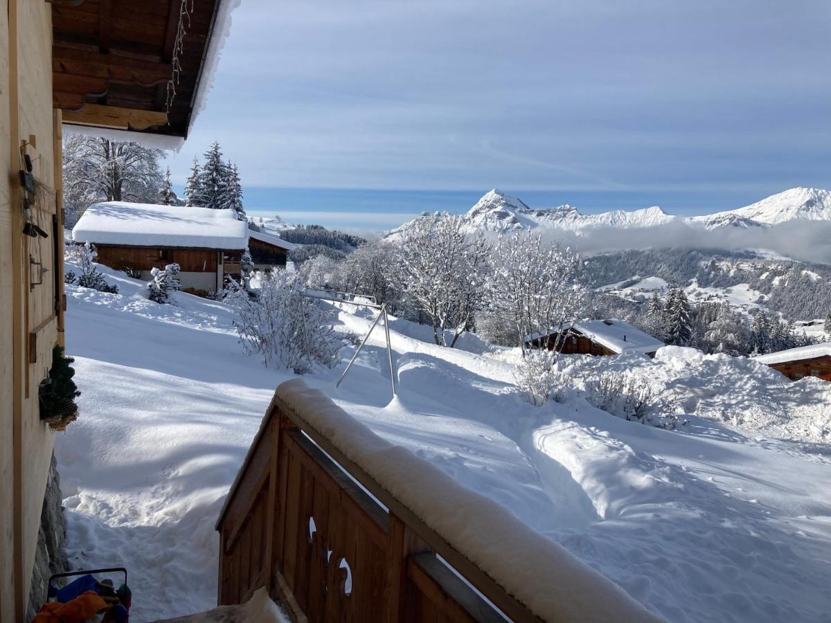 Chalets Savoie Les Chalets D'Heidi Notre-Dame-de-Bellecombe Exteriör bild