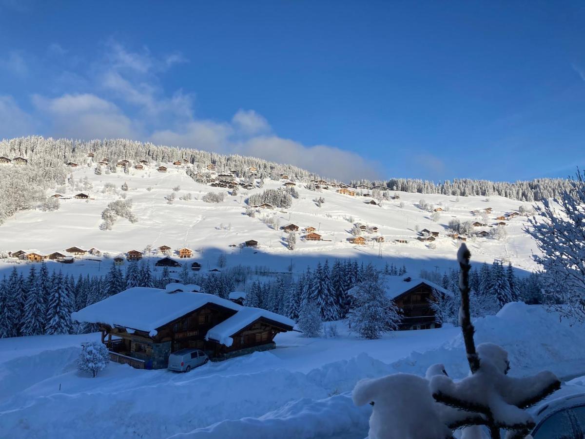 Chalets Savoie Les Chalets D'Heidi Notre-Dame-de-Bellecombe Exteriör bild