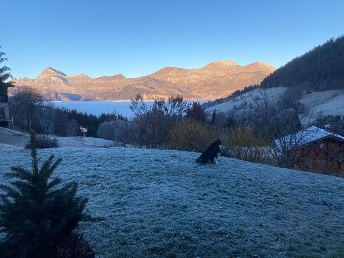 Chalets Savoie Les Chalets D'Heidi Notre-Dame-de-Bellecombe Exteriör bild