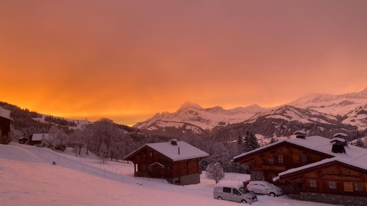Chalets Savoie Les Chalets D'Heidi Notre-Dame-de-Bellecombe Exteriör bild