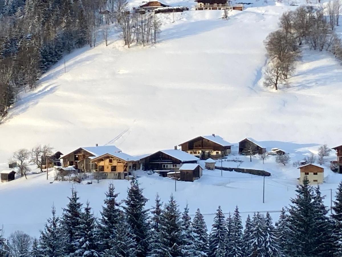 Chalets Savoie Les Chalets D'Heidi Notre-Dame-de-Bellecombe Exteriör bild