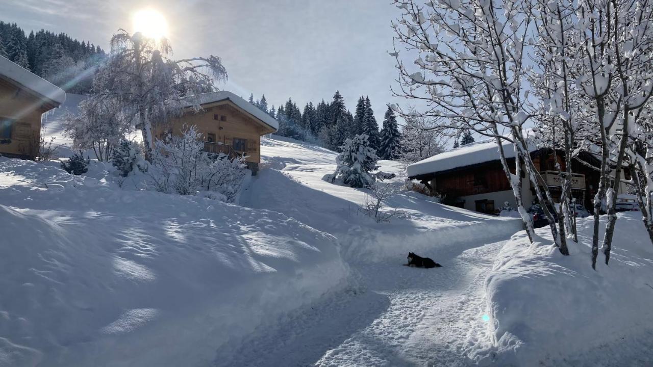 Chalets Savoie Les Chalets D'Heidi Notre-Dame-de-Bellecombe Exteriör bild