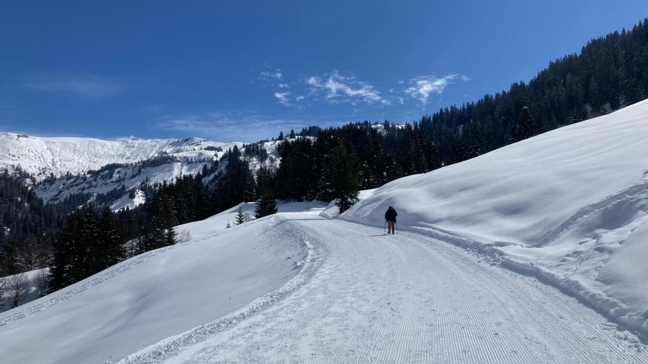 Chalets Savoie Les Chalets D'Heidi Notre-Dame-de-Bellecombe Exteriör bild