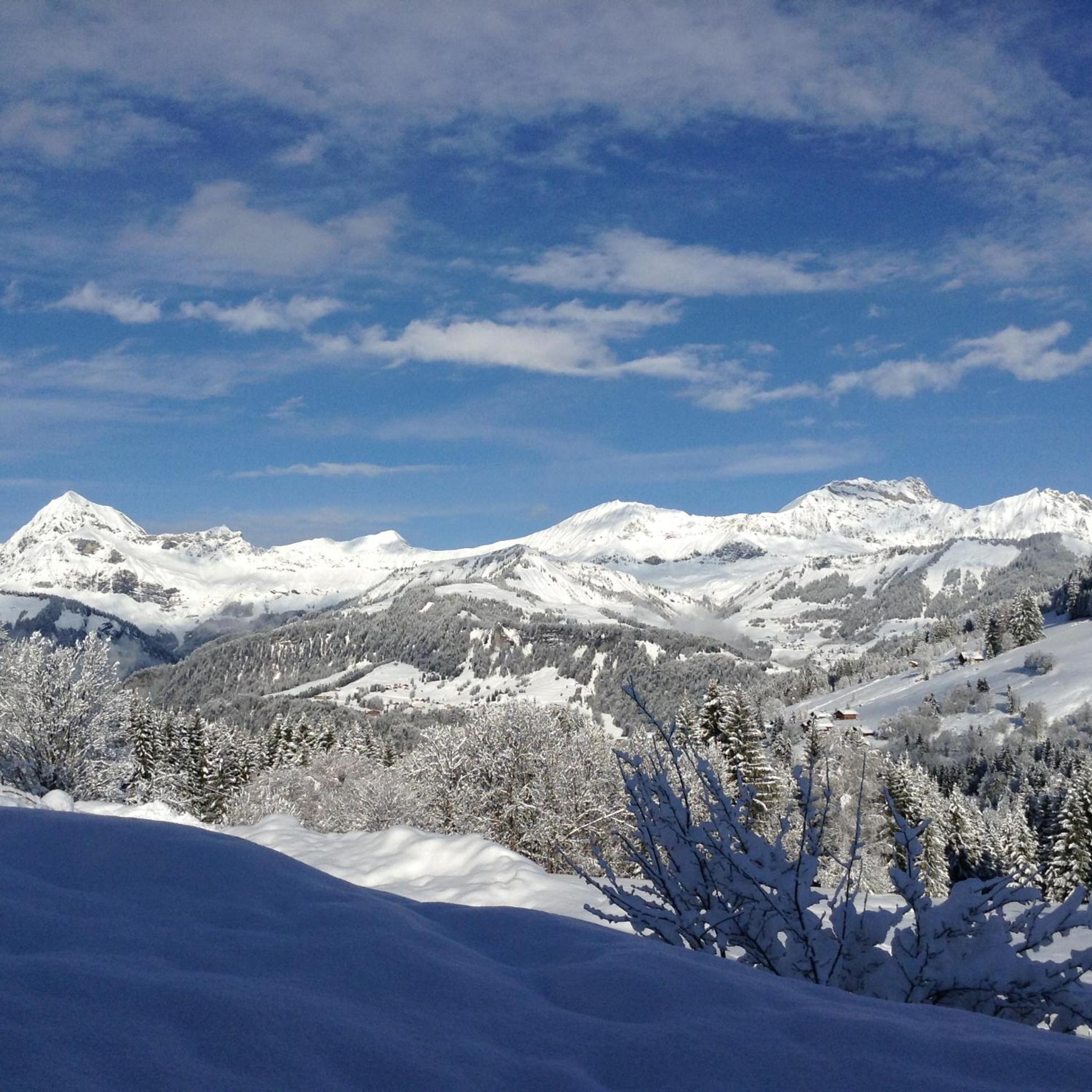 Chalets Savoie Les Chalets D'Heidi Notre-Dame-de-Bellecombe Exteriör bild