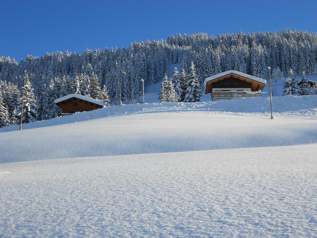 Chalets Savoie Les Chalets D'Heidi Notre-Dame-de-Bellecombe Exteriör bild